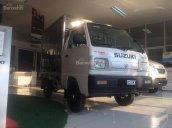 Cần bán xe Suzuki Carry đời 2018, màu xanh lam, thùng kín inox giá tốt