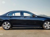 Bán xe Mercedes E250 màu đen giá tốt, giao xe ngay