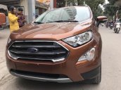 Bán Ford Ecosport 2018 giá tốt nhất cùng nhiều phần quà hấp dẫn