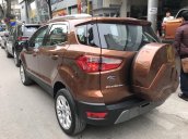 Bán Ford Ecosport 2018 giá tốt nhất cùng nhiều phần quà hấp dẫn