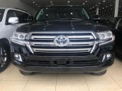 Bán Toyota Land Cruiser VX 4.6V8 sản xuất 2016 đăng ký cá nhân, màu đen nội thất kem xe rất đẹp