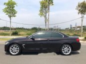 Cần bán gấp BMW 4 Series 428 đời 2016, màu đen, nhập khẩu nguyên chiếc