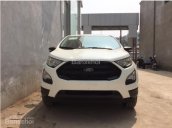 Khuyến mại Ghế da, màn hình, camera hành trình cho Ford EcoSport Ambiente AT 2018, màu trắng,