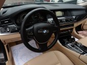 Cần bán xe BMW 5 Series 520i 2017, màu đen nâu, xe nhập