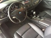 Bán BMW 5 Series 520i 2015, màu xanh cực độc đáo