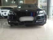 Bán BMW 5 Series 520i 2015, màu xanh cực độc đáo