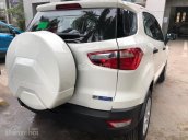 Ford Sơn La, bán xe Ford Ecosport các phiên bản, nhiều màu, trả góp 80% 