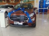 Cần bán xe Ford EcoSport năm 2018, màu cam 