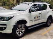 Bán ô tô Ford Everest đời 2018, màu trắng