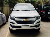 Bán ô tô Ford Everest đời 2018, màu trắng