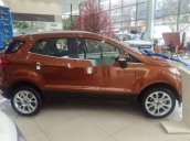 Cần bán xe Ford EcoSport năm 2018, màu cam 