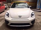 Cần bán xe Volkswagen Beetle năm sản xuất 2017, màu trắng, nhập khẩu