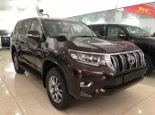 Bán Toyota Prado VX 2018, nhập khẩu
