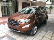 Bán xe Ecosport titanium 1.5 khuyến mại cực lớn trong tháng 8/2018 các màu giao ngay, hỗ trợ trả góp 90%