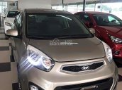 Bán xe Kia Picanto S sản xuất 2013, màu xám