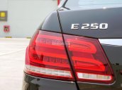 Cần bán xe Mercedes E250 2014 màu đen vip