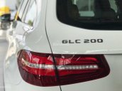 Bán Mercedes GLC 200 2019 mới ra mắt tại Việt Nam, giao ngay