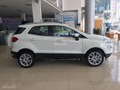 Bán Ford Ecosport Trend AT 2018 màu trắng, bán tại Ford An Đô, hỗ trợ trả góp thủ tục nhanh gọn