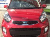 KIA Morning Ex 1.25, Mới 100, hỗ trợ vay mua xe kinh doanh - LH: 0901.078.222 - Trường Quang