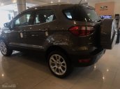 Cần bán xe Ford EcoSport Titanium 1.5P AT sản xuất 2018, màu xám