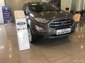 Cần bán xe Ford EcoSport Titanium 1.5P AT sản xuất 2018, màu xám