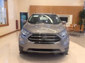 Ford Thái Bình xin thông báo giá tốt xe Ford Ecosport Titanium 1.5L 2018, giao xe ngay