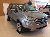 Ford Thái Bình xin thông báo giá tốt xe Ford Ecosport Titanium 1.5L 2018, giao xe ngay