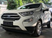 Bán Ecosport, trả trước 125 triệu, tặng combo PK khủng, giảm 50% khi mua thêm PK khác