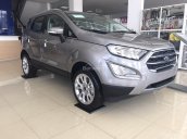 Bán Ford Ecosport Titanium đời 2018, màu xám (ghi), hỗ trợ trả góp và hoàn thiện lăn bánh