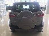 Bán Ford Ecosport Titanium đời 2018, màu xám (ghi), hỗ trợ trả góp và hoàn thiện lăn bánh