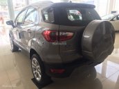 Bán Ford Ecosport Titanium đời 2018, màu xám (ghi), hỗ trợ trả góp và hoàn thiện lăn bánh