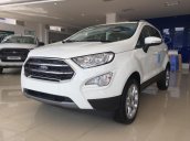 Ford Hòa Bình bán các phiên bản Ecosport 2018, giao xe ngay và hỗ trợ thủ tục trả góp 80%