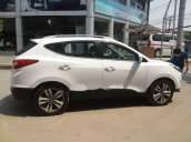 Cần bán xe Hyundai Tucson đời 2010, màu trắng, nhập khẩu  