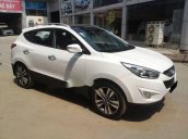 Cần bán xe Hyundai Tucson đời 2010, màu trắng, nhập khẩu  