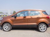 Bán ô tô Ford EcoSport năm sản xuất 2018, giá tốt