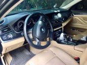 Cần bán BMW 5 Series 520i sản xuất 2016, giá tốt