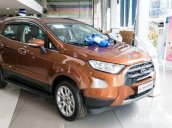 Bán ô tô Ford EcoSport năm sản xuất 2018, giá tốt