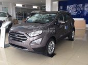 Bán Ford EcoSport đời 2018, đủ màu chỉ với từ 100 triệu đồng, hỗ trợ trả góp lên tới 90% giá trị xe - LH 0911360366