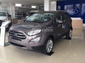 Bán Ford EcoSport đời 2018, đủ màu chỉ với từ 100 triệu đồng, hỗ trợ trả góp lên tới 90% giá trị xe - LH 0911360366