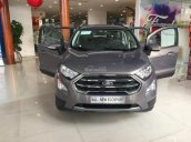 Bán Ford EcoSport đời 2018, đủ màu chỉ với từ 100 triệu đồng, hỗ trợ trả góp lên tới 90% giá trị xe - LH 0911360366