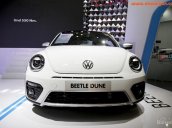 Bán Volkswagen Beetle Dune mới, nhiều màu giao ngay cả nước, chỉ trả trước 400tr - 090.364.3659