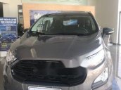 Bán ô tô Ford EcoSport Ambiente sản xuất 2018, màu xám