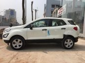 An Đô Ford cần bán Ford EcoSport 2018, màu trắng giá cạnh tranh