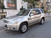 Bán xe Ford Escape XLS AT đời 2009, màu bạc, giá tốt