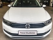 Cần bán Volkswagen Passat GP đời 2017, màu trắng, trả trước 400 triệu