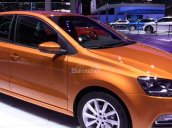 Bán gấp, siêu khuyến mãi tháng cùng ô tô Volkswagen Polo đời 2017, màu bạc, xe nhập, giá tốt