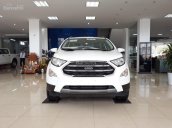 Bán Ford EcoSport giá tốt nhất, nhiều phiên bản lựa chọn, ngân hàng lãi suất tốt, có xe giao ngay, hotline 0986.812.333