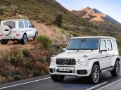 Bán Mercedes G63 AMG sản xuất 2018, giá cực tốt