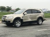 Bán Chevrolet Captiva LTZ sản xuất năm 2008, màu vàng cát