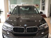 Bán BMW X5 tại Đà Nẵng